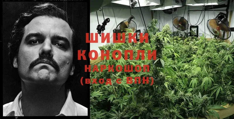 Канабис Ganja  Ейск 